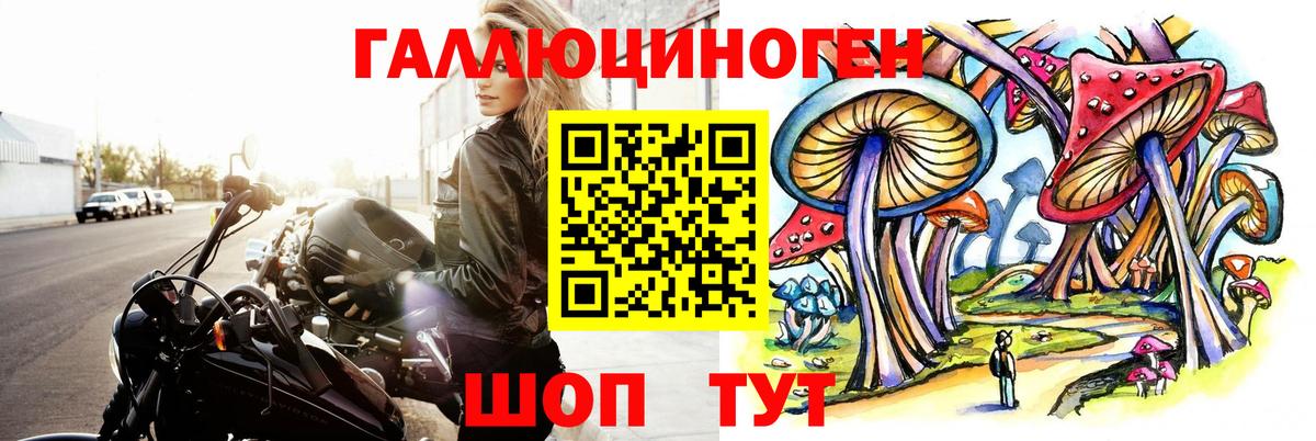 Псилоцибиновые грибы GOLDEN TEACHER  Псилоцибиновые грибы Psilocybe  Нефтекумск  Вход с VPN 