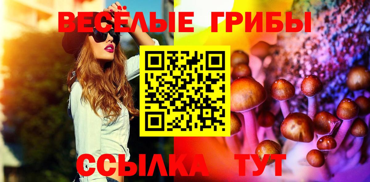 Псилоцибиновые грибы Psilocybine cubensis Нефтекумск